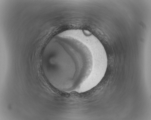 X0000115451009200911251302