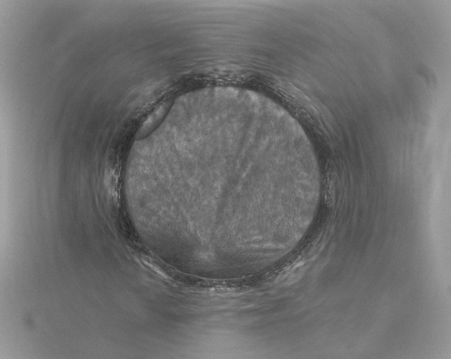 X0000115451010200911251302