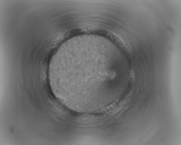 X0000115451012200911251302