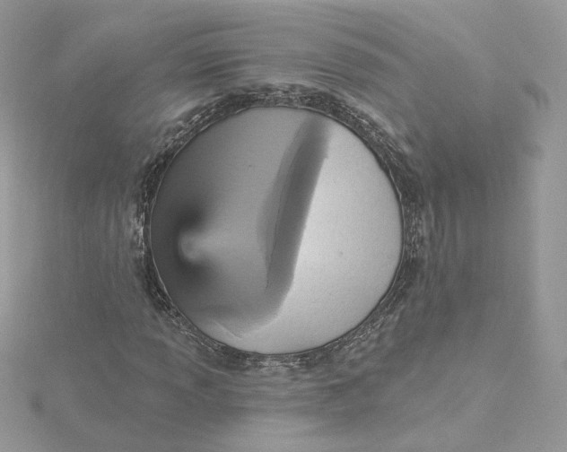 X0000115451013200911251302