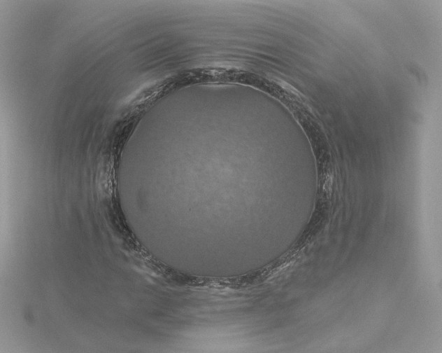 X0000115451014200911251302