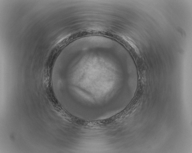 X0000115451015200911251302