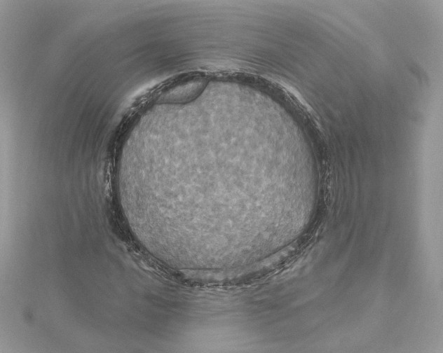 X0000115451016200911251302