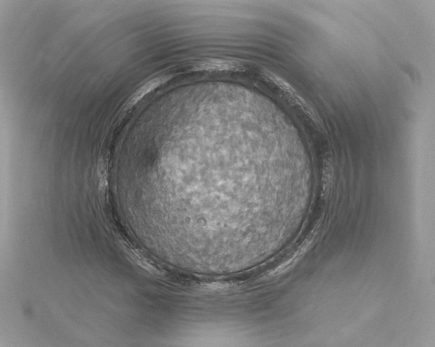 X0000115451017200911251302