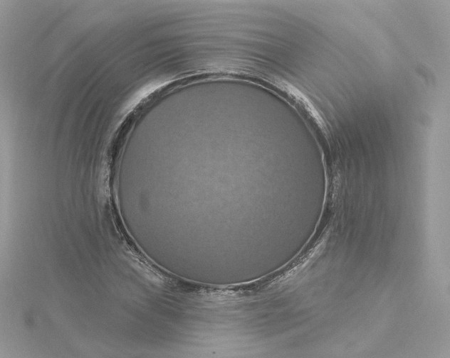 X0000115451019200911251302