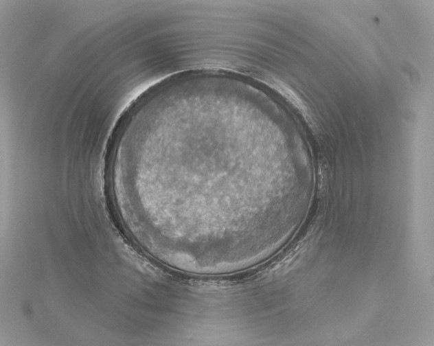 X0000115451020200911251302