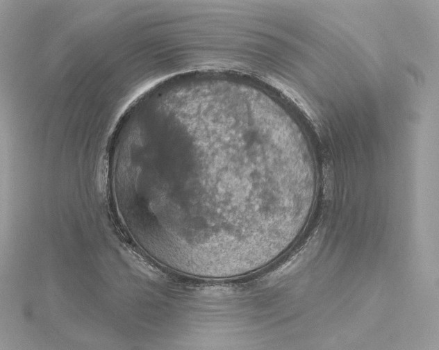 X0000115451021200911251302