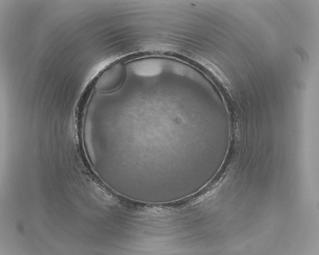 X0000115451022200911251302