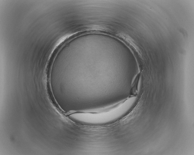 X0000115451024200911251302