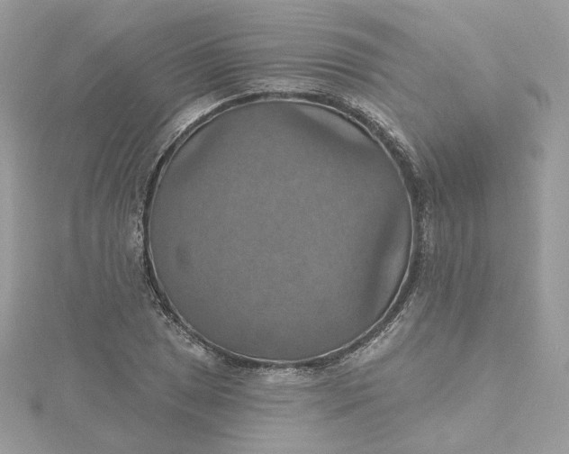 X0000115451025200911251302