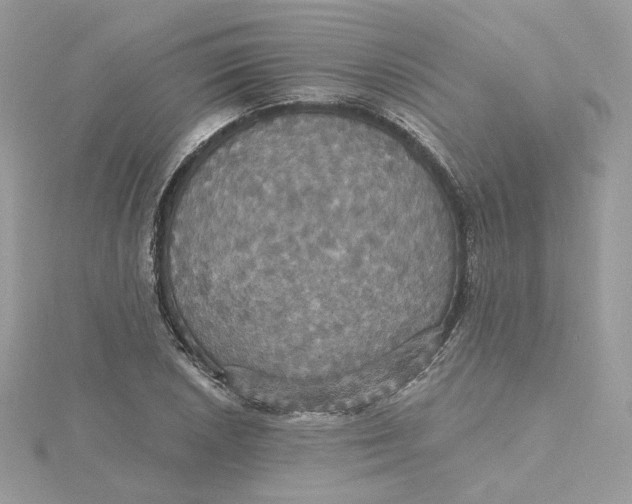 X0000115451026200911251302