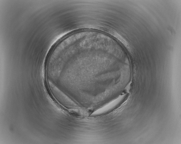 X0000115451028200911251302