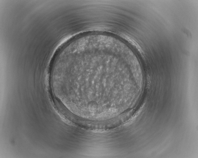 X0000115451029200911251302