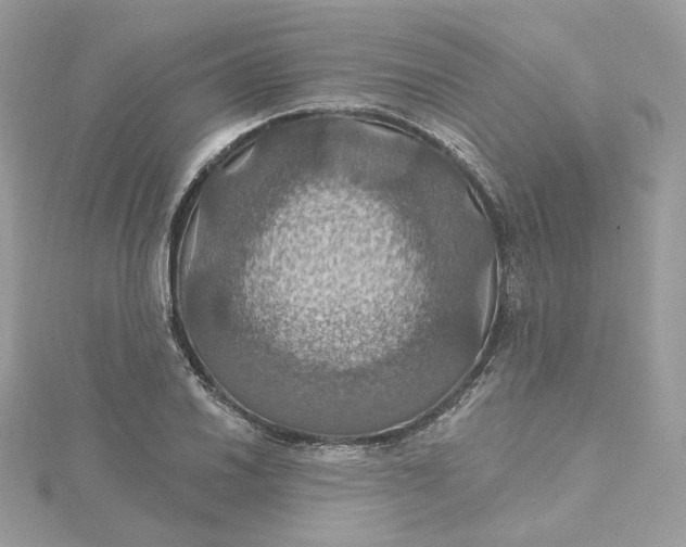 X0000115451030200911251302