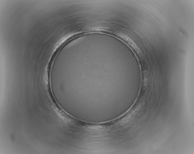 X0000115451031200911251302