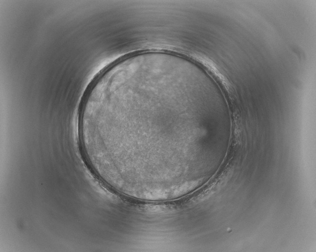 X0000115451032200911251302