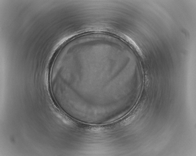 X0000115451035200911251302