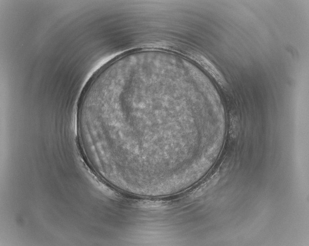 X0000115451036200911251302