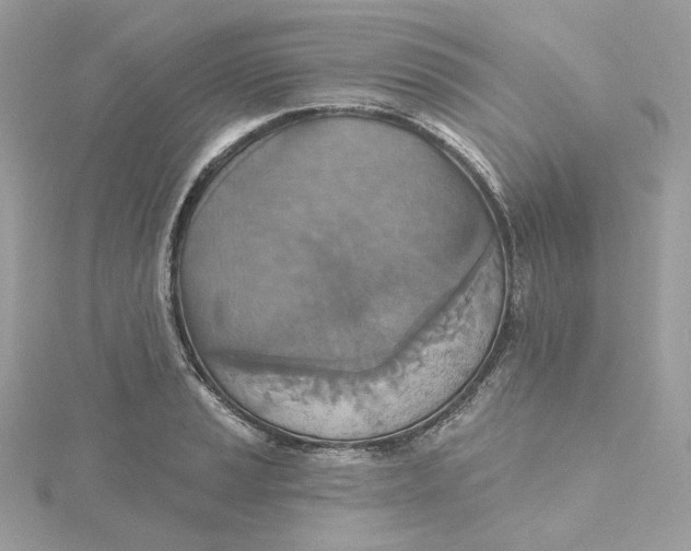 X0000115451037200911251302