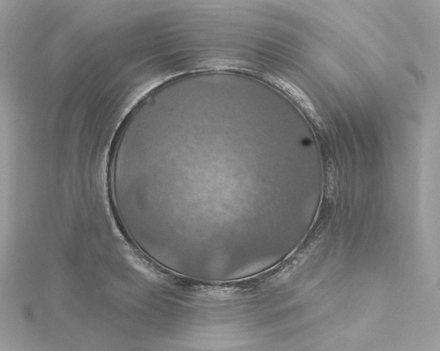 X0000115451039200911251303