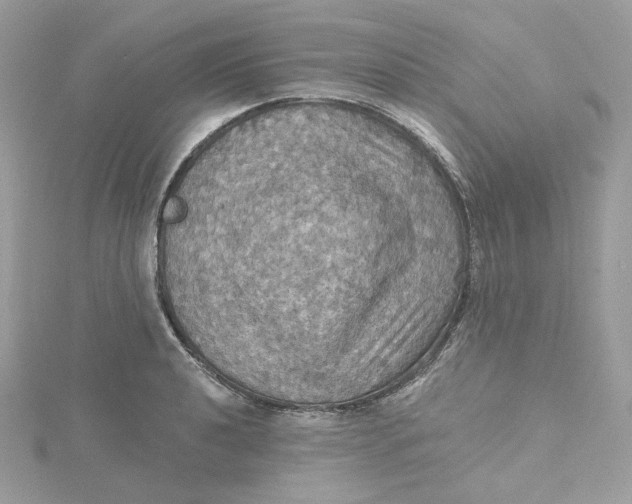 X0000115451040200911251303