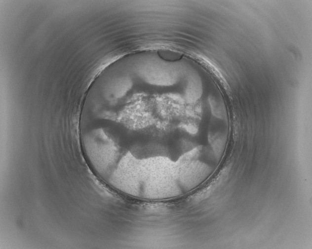 X0000115451041200911251303