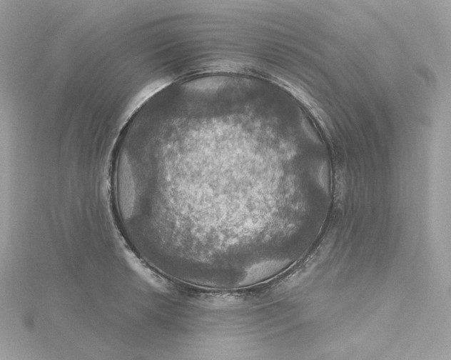 X0000115451042200911251303