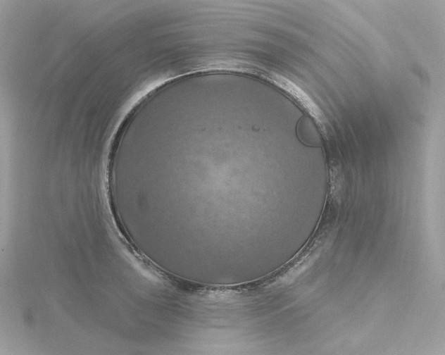 X0000115451043200911251303