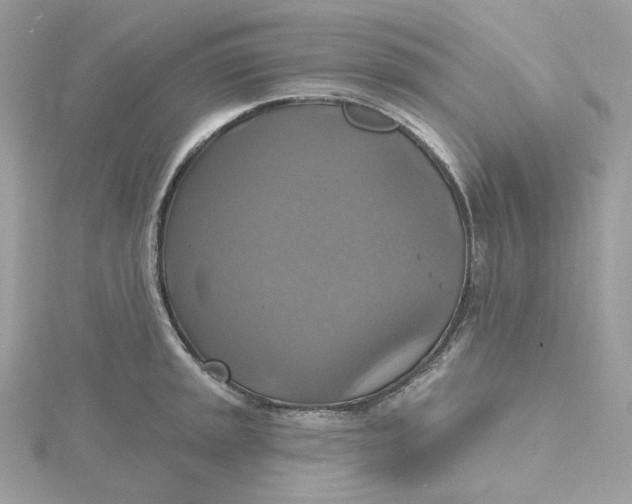 X0000115451045200911251303