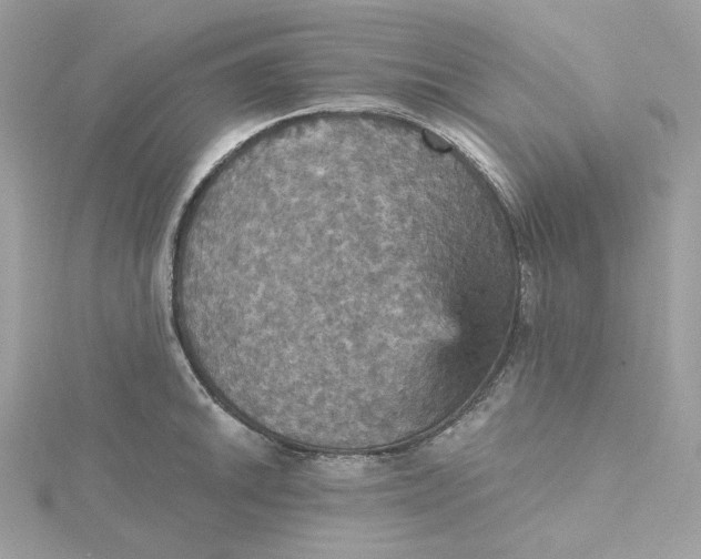 X0000115451046200911251303