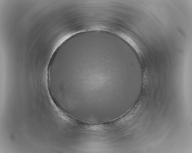 X0000115451047200911251303