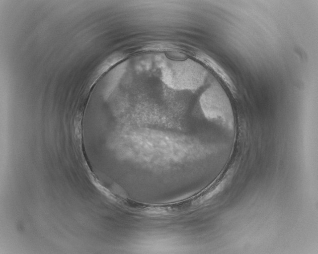 X0000115451049200911251303