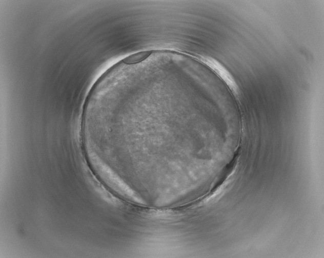 X0000115451052200911251303