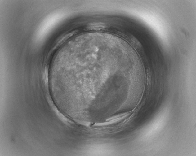 X0000115451054200911251303