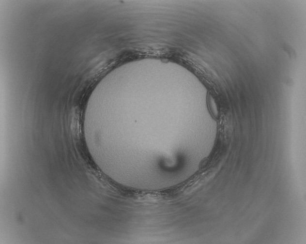 X0000115451058200911251302