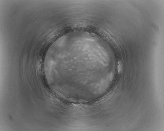 X0000115451059200911251302