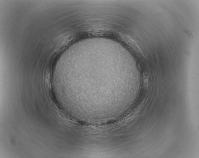 X0000115451060200911251302