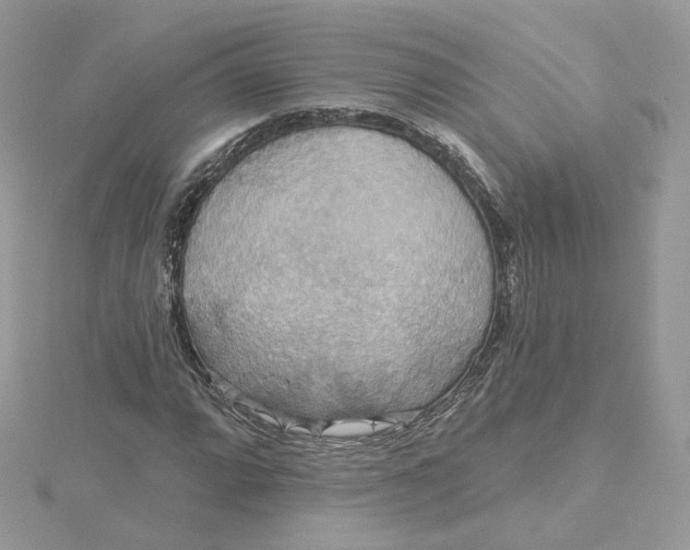 X0000115451064200911251302