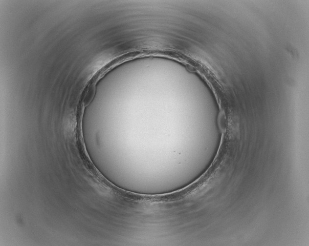 X0000115451065200911251302