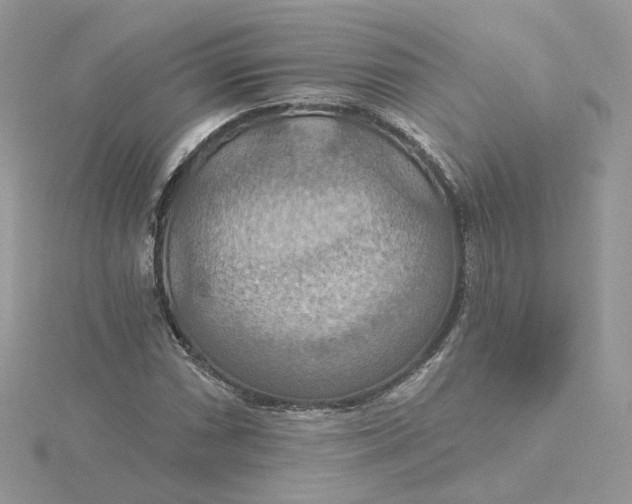 X0000115451066200911251302