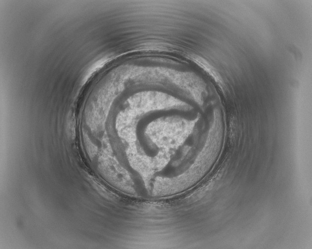 X0000115451067200911251302