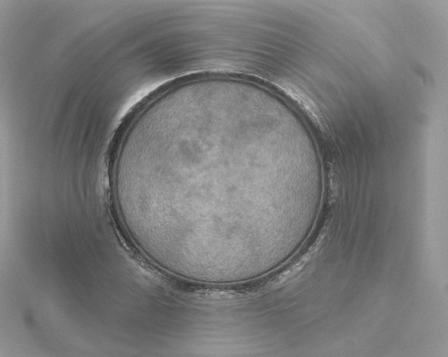 X0000115451070200911251302