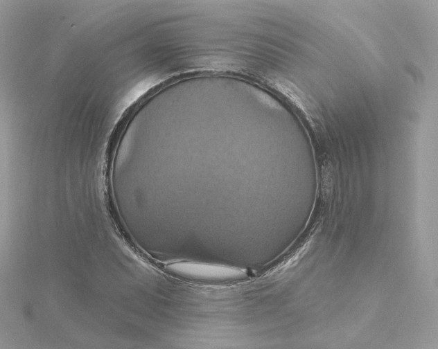 X0000115451071200911251302