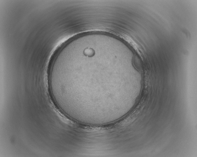 X0000115451072200911251302