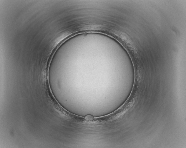 X0000115451073200911251302