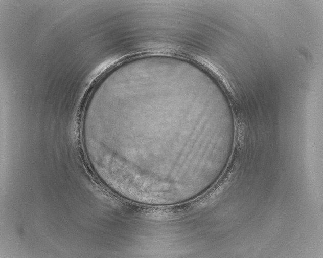 X0000115451074200911251302