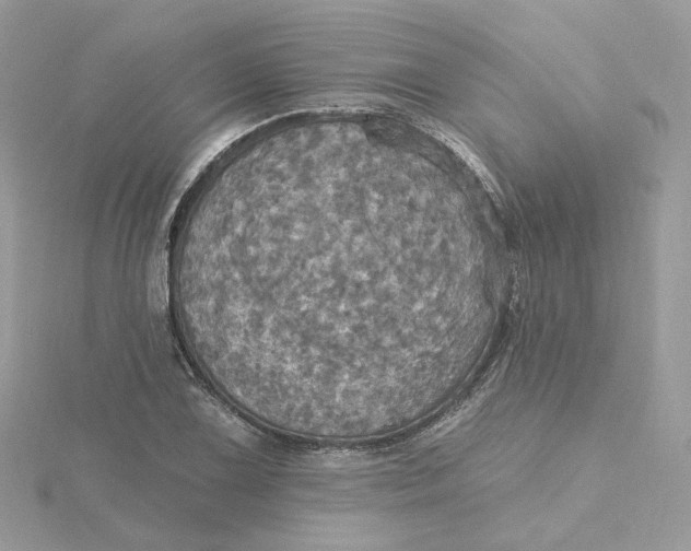 X0000115451075200911251302