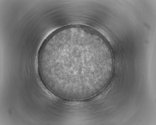 X0000115451076200911251302