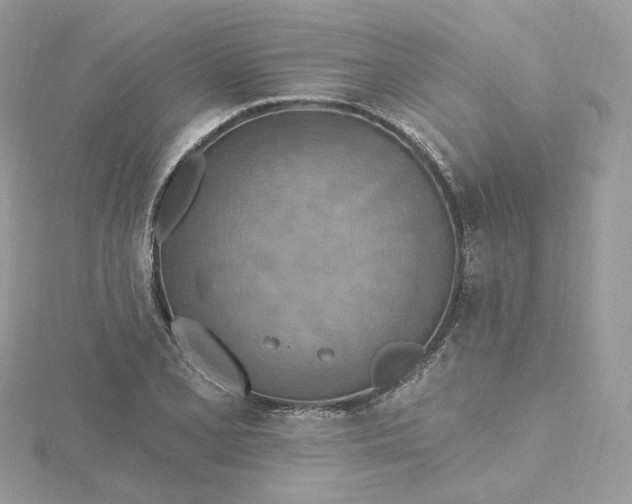 X0000115451077200911251302