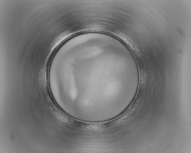 X0000115451078200911251302